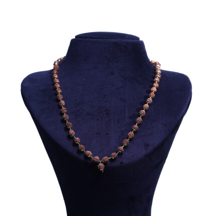 Silver Rudrakash chain for Him